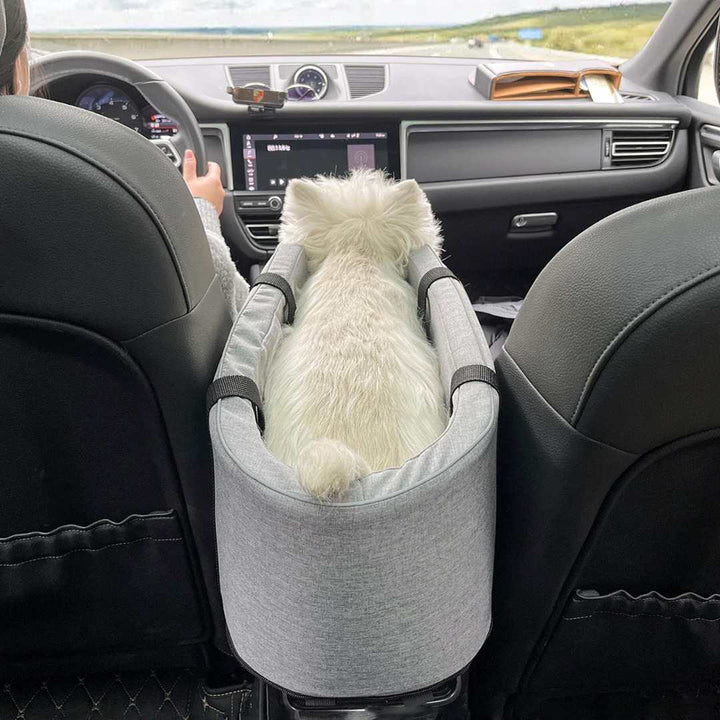 Cane che viaggia in sicurezza nel trasportino Pawvella Paw-Go fissato in auto