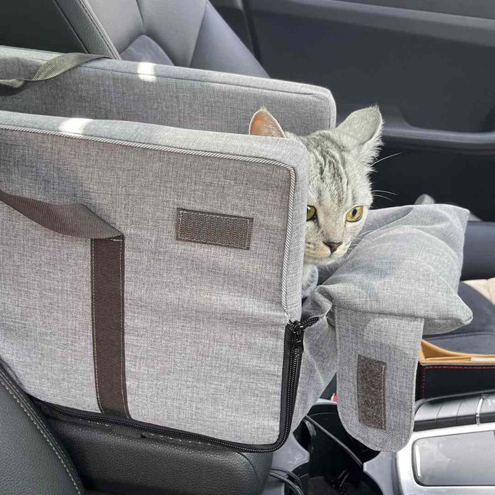 Gatto che viaggia in auto nel trasportino Pawvella Paw-Go, sicurezza e comfort garantiti